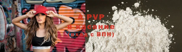 стаф Балахна