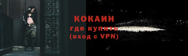 стаф Балахна
