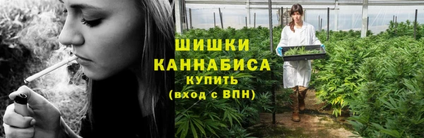 стаф Балахна