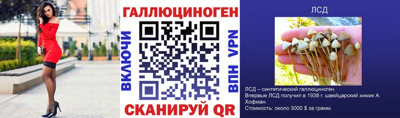 Псилоцибиновые грибы MAGIC MUSHROOMS  ссылка на мегу ONION  Белая Холуница  где продают  